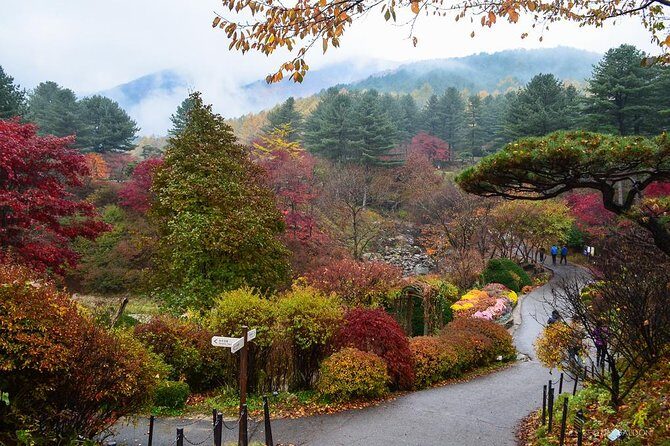 Nami Island from Seoul: Petit France and Garden of Morning Calm - A 9-hour Seoul getaway with Nami, French vibes, and garden calm