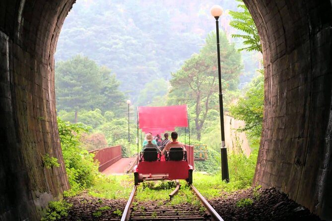 Nami Island & Garden of Morning Calm & Gangchon Railbike Tour - Nami Island in Winter: Scenic Walks with Maximum Photo Time