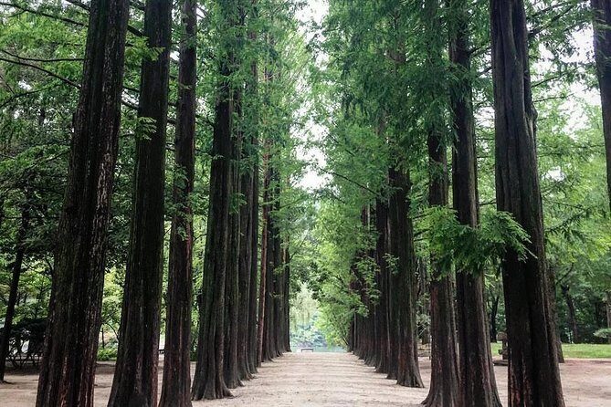 Nami Island & Nearby Attractions : Charter Van Tour With Driver - Nami Island: Winter Sonata scenery, plus the crowd reality check