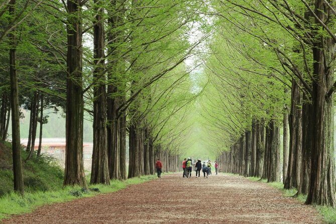Nami Island& Petite France& Garden of Morning Calm& Italian Village One-Day Tour - Garden of Morning Calm: hedges, seasons, and room to roam