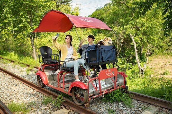 Nami Island & Petite France & Italian Village & Gangchon Rail Bike One-Day Tour - Nami Island: Where the Walks Actually Reset Your Brain