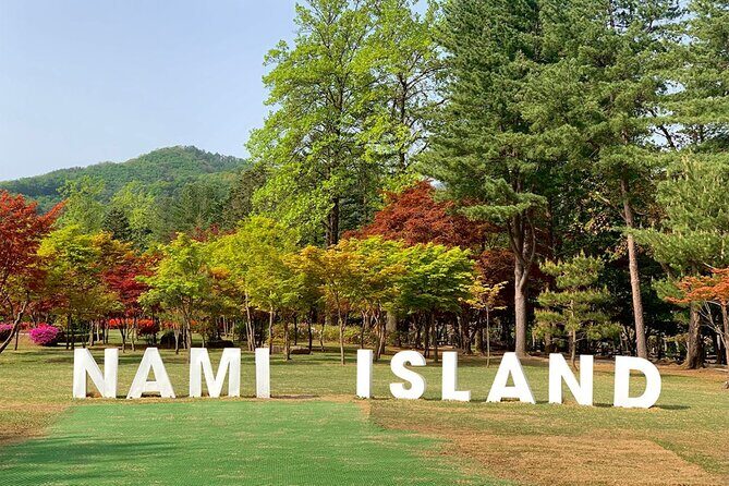 Nami Island & Petite France & Italian Village & Gangchon Rail Bike One-Day Tour - Comfort and Transfers: Bus Comfort vs. Seoul Traffic Reality