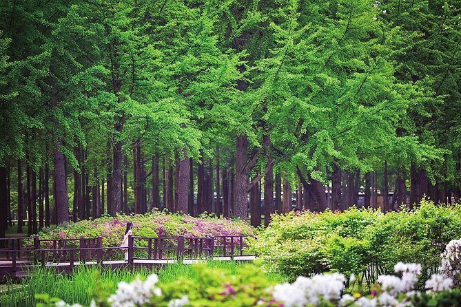Nami Island & Petite France with Italian Village One-Day Tour - Why this day trip is such a good break from Seoul