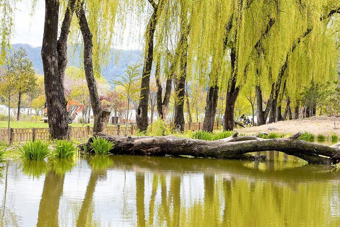 Nami Island & Petite France with Italian Village One-Day Tour - Price and value: what you’re really paying for