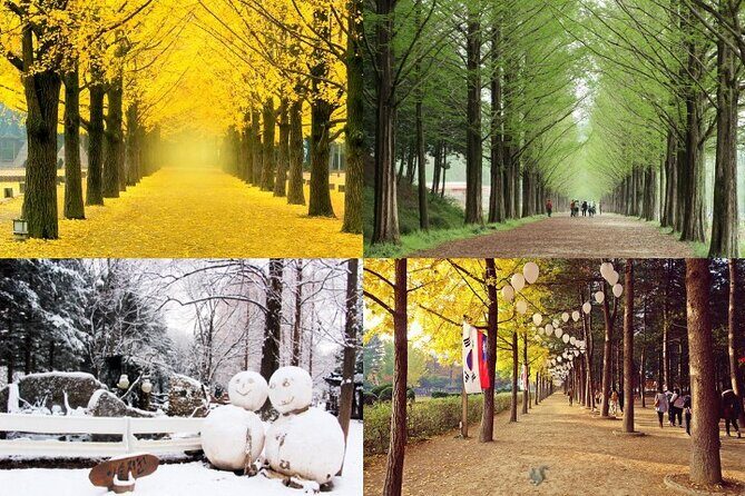 Nami Island & Petite France with Italian Village One-Day Tour - Nami Island: the tree-lined roads and the K-drama factor