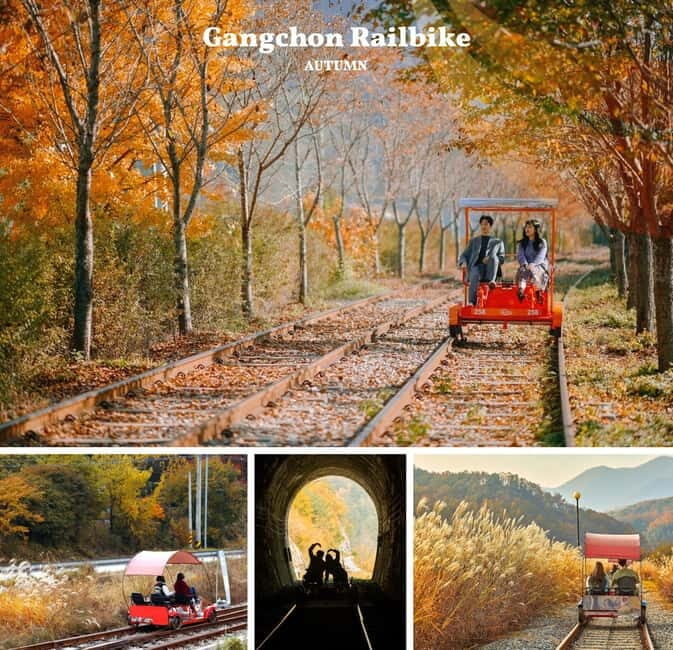 Nami Island, Railbike & Alpaca Garden Day Trip from Seoul - The Gangchon Railbike: old tracks, fall valleys, and a fun break from sitting