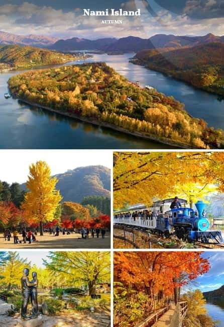 Nami Island, Railbike & Alpaca Garden Day Trip from Seoul - Getting your day right: practical tips before you go