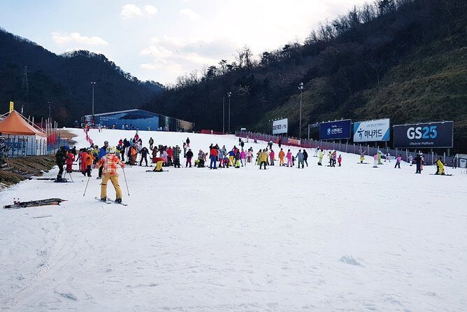 Nami Island + Ski Tour - One winter day plan: Elysian Gangchon meets K-drama Nami Island