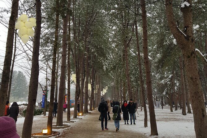 Nami Island + Ski Tour - Practical packing tips for a day with snow and photos