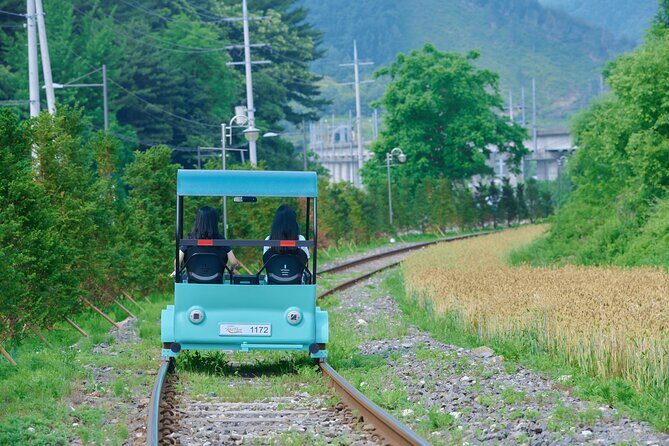Nami Island Trip with Petite France & Italian Village and Gangchon Rail Bike - Getting Out of Seoul: Coach Comfort and Time on the Clock
