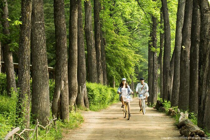 Nami Island Trip with Petite France & Italian Village and Gangchon Rail Bike - Italia Village Pinocchio & Da Vinci: Collodi Partnership Themed Stops (45 Minutes)