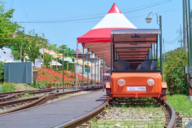Nami Island Trip with Petite France & Italian Village and Gangchon Rail Bike - Nami Island with Ferry Only: When 3.5 Hours Feels Just Right