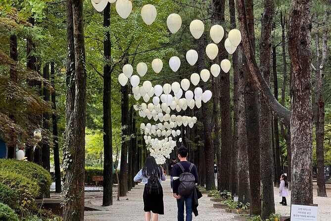 Nami Island Trip with Petite France & Italian Village and Gangchon Rail Bike - Who This Tour Fits Best (and Who Might Want Another Option)