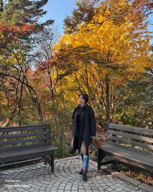 Nami & Maple Road & Theatre des Lumieres Day Tour from Seoul - FAQ