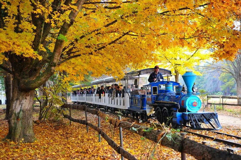 Nami & Maple Road & Theatre des Lumieres Day Tour from Seoul - Should You Book This Nami + Maple + Lumières Day Tour?