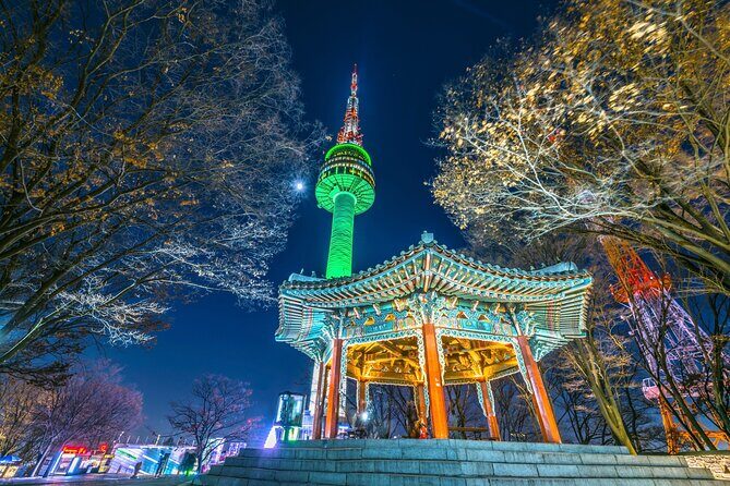 Night Flexible Private Guided Tour in Seoul(Optional Layover) - Why Seoul Looks Different After Dark