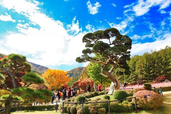 One Day Private Tour-Nami, Petite and Garden of Morning Calm - A smooth private day out of Seoul