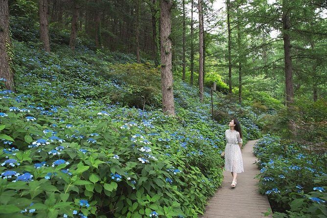 One Day Private Tour-Nami, Petite and Garden of Morning Calm - Timing, pacing, and how the day feels end-to-end