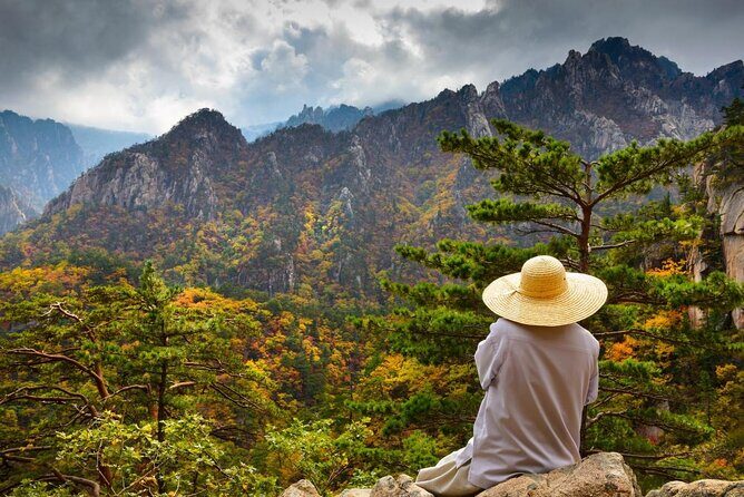 One-Day Tour for stunning Mt.Seoraksan from Seoul - Key Highlights You’ll Care About