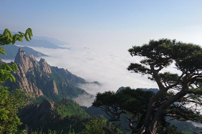 One-Day Tour for stunning Mt.Seoraksan from Seoul - Cable Car to Gwongeumseong Fortress: Views With a Timing Edge