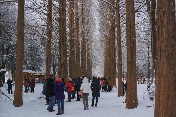 [Perfect Private Tour] Nami island, Petite France and Organic Strawberry Farm - Should You Book This Nami, Petite France, and Strawberry Tour?