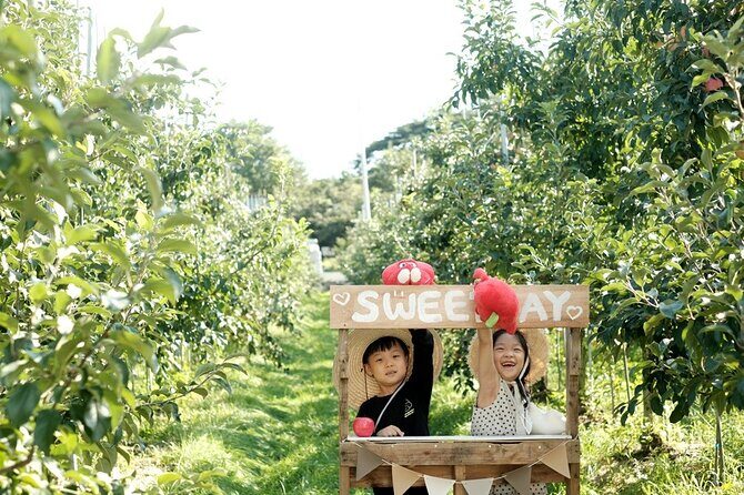 Pocheon Art Valley, Garden & Fruit Picking Day Tour from Seoul - Stop 2: The Garden of Morning Calm and why season matters