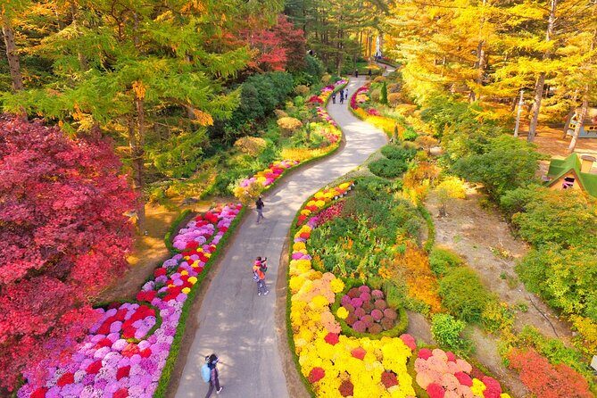 Pocheon Art Valley, Garden & Fruit Picking Day Tour from Seoul - Stop 3: Fruit farm time—apples or strawberries (and what’s included)