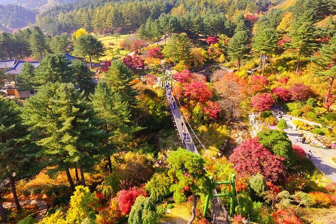 Pocheon Art Valley, Garden & Fruit Picking Day Tour from Seoul - Pacing, timing, and what can change on the day