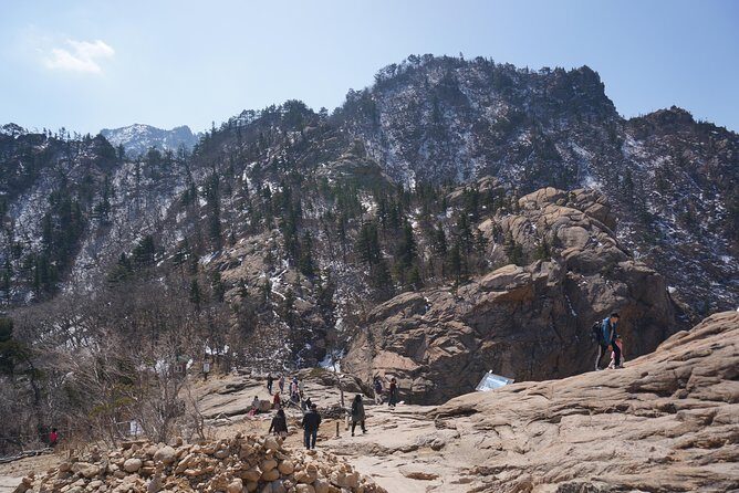 [Premium Private Tour] Mt Seorak & East Sea or Nami island from Seoul - Nami Island choice instead of the East Sea: Winter Sonata time