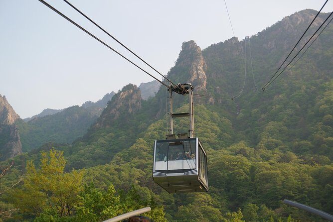 [Premium Private Tour] Mt Seorak & East Sea or Nami island from Seoul - Season, comfort, and who should book (or skip)
