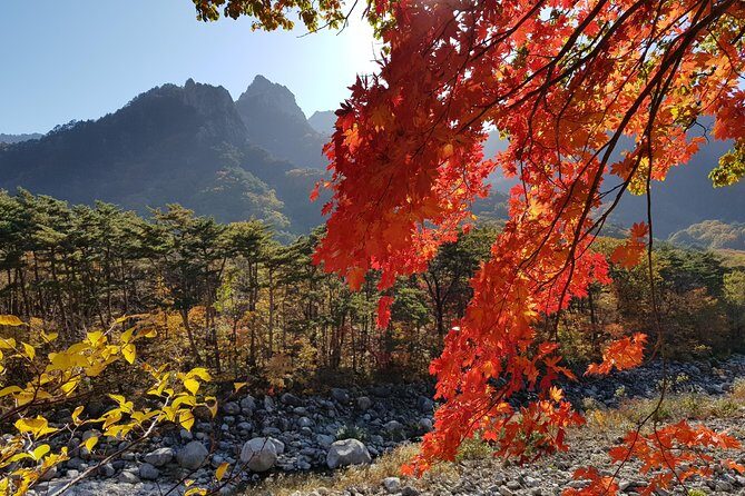 [Premium Private Tour] Mt Seorak & East Sea or Nami island from Seoul - Should you book this Mt Seorak & Nami private tour?