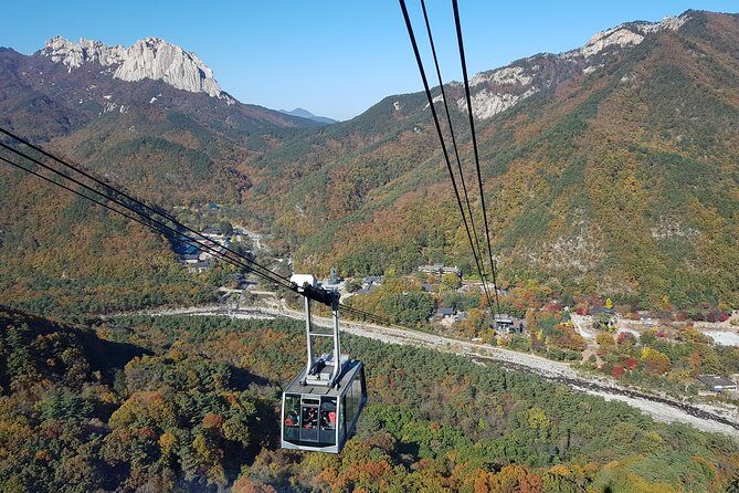 [Premium Private Tour] Mt Seorak & East Sea or Nami island from Seoul - Gwongeumseong cable car or Biseondae valley walk: pick your pace