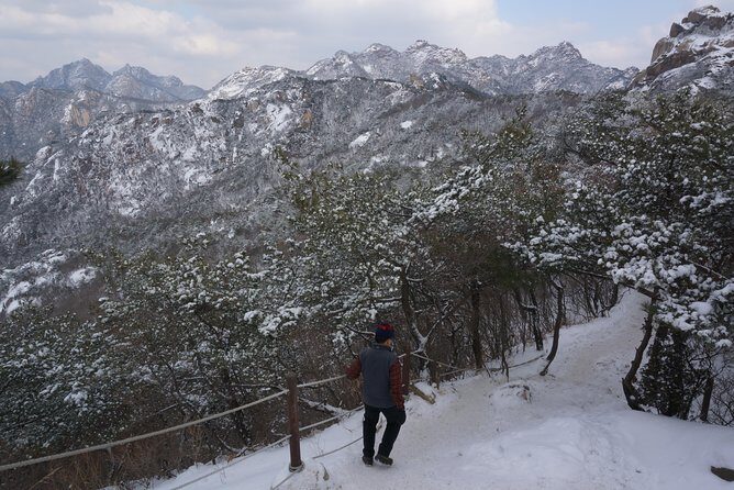 Private Bukhansan Hiking Tour (More Members Less Cost per Person) - Stop 2: Doseonsa Temple as a calm reset after the climb
