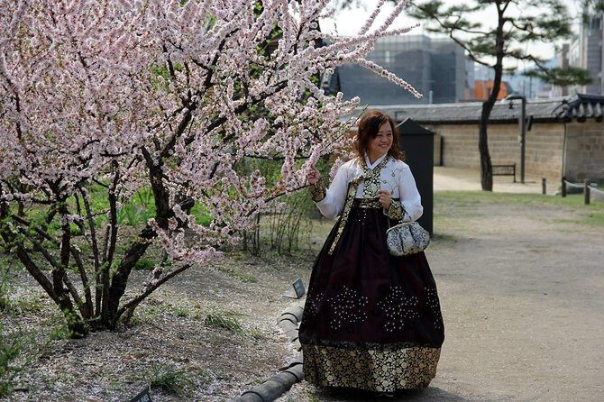 Private day tour Korea(Seoul trip) with Professional Photographer - Folk Village area with fortress and Everland: heritage vibes plus big attraction energy