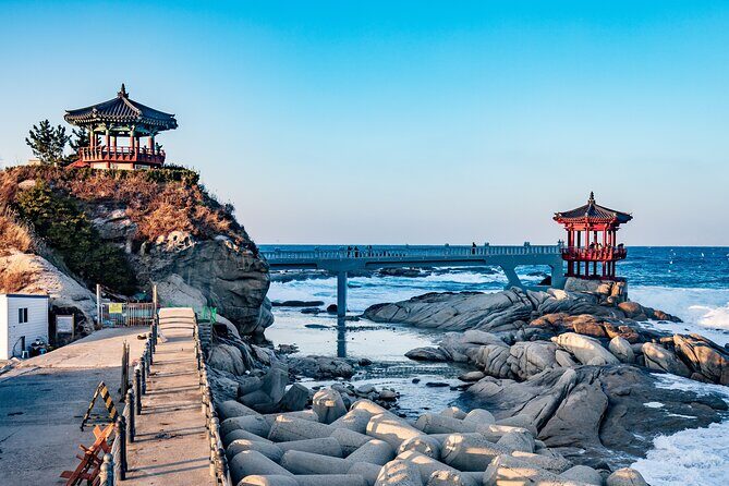 Private Day Trip to Seoraksan National Park - Sokcho Central Market: Where Local Food Comes Into the Picture