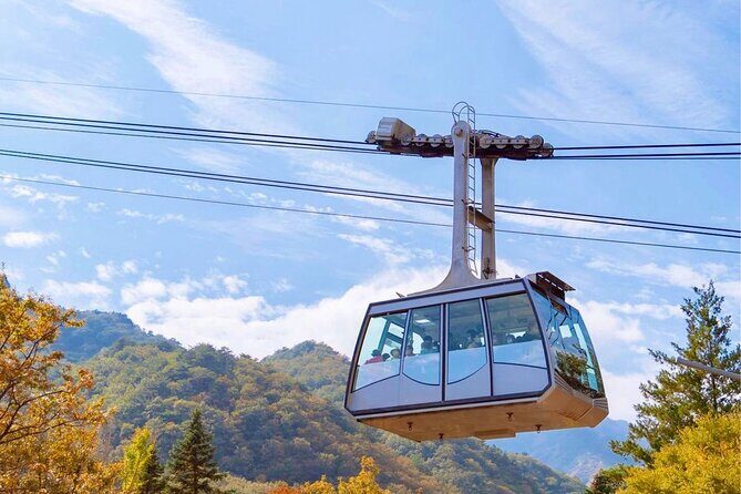 [Private] DMZ & Imjingak Peace Gondola Experience Inter-Korean War - Morning logistics: what the day timing really means
