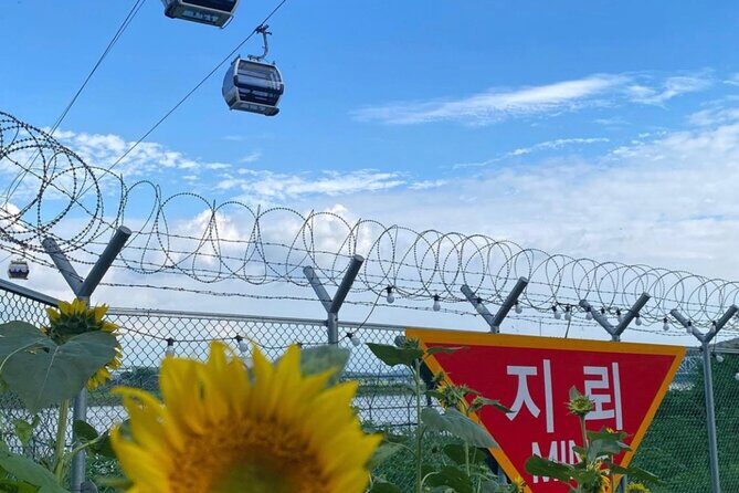 [Private] DMZ & Imjingak Peace Gondola Experience Inter-Korean War - The shop stop: Amethyst or ginseng center (and how to handle it)