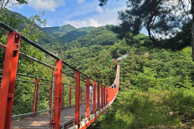 Private DMZ Tour and Suspension Bridge + Korean BBQ - Lunch is more than food: Korean BBQ or ginseng chicken soup