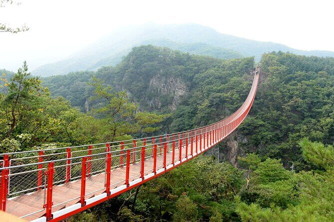 Private DMZ Tour (No Shopping): 3rd Tunnel & Suspension Bridge - Why this DMZ tour feels calmer than the big-group version