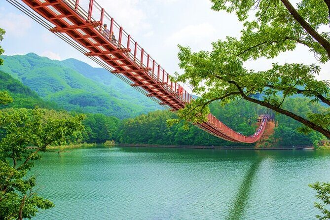 Private DMZ Tour (No Shopping): 3rd Tunnel & Suspension Bridge - Price and logistics: what $198 buys you in the real world