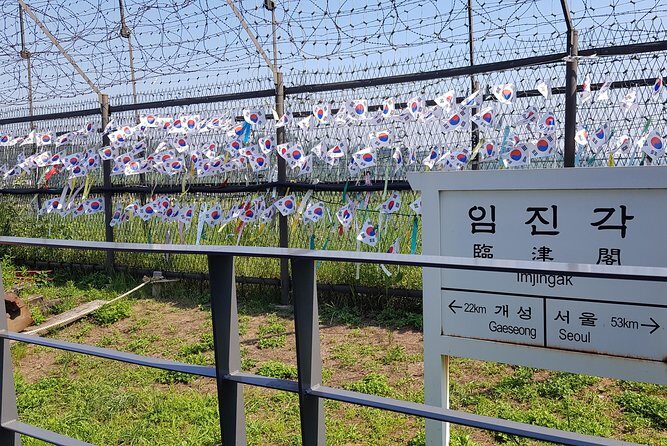 Private DMZ Tour - Hotel pickup and the drive north: your briefing starts early