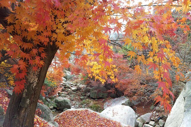 Private Hiking to Bukhansan & Korean Style Spa(Include Lunch) - Private guide value: better pacing and better stories
