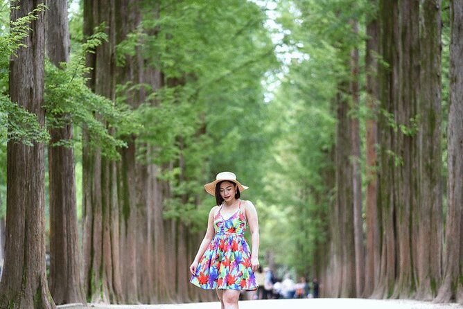 Private Nami Island Photo Shoot and Tour with a Photographer - Getting there from Seoul: pickup, comfort, and why timing matters