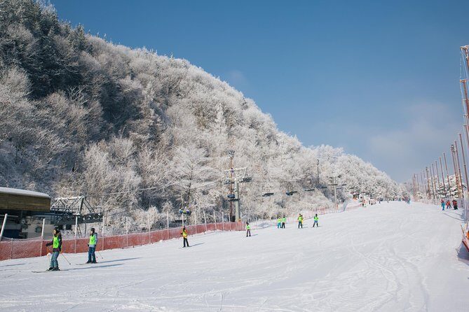 Private Ski Tour(Lesson) near Seoul at Elysian Gangchon Resort - What’s actually included (and what you must plan for)