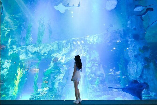 Private tour Lotte World,Tower,Aquarium(All Tickets are included) - Pricing and Value: Is $260 Per Person Worth It?