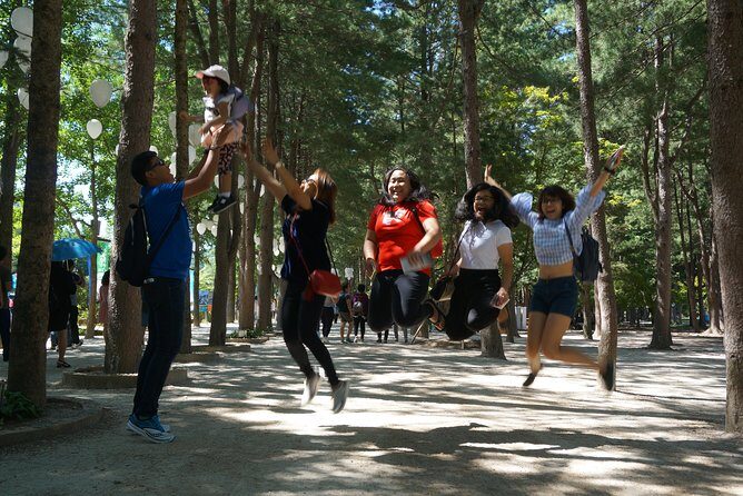 Private Tour: Nami Island& (Alpaca World 'or' Morning Calm)&Lunch - Nami Island: tree-lined walking that’s easy to enjoy