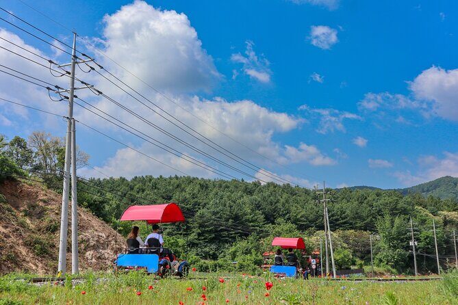 (Private tour) Nami Island + Railbike + Garden of morning calm - A smarter way to do Nami Island and the rail bike