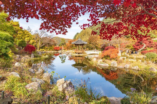 (Private tour) Nami Island + Railbike + Garden of morning calm - Stop One: Nami Island guided walk, then real free time