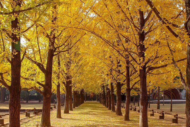 (Private tour) Nami Island + Railbike + Garden of morning calm - Private guide attention that actually changes the day