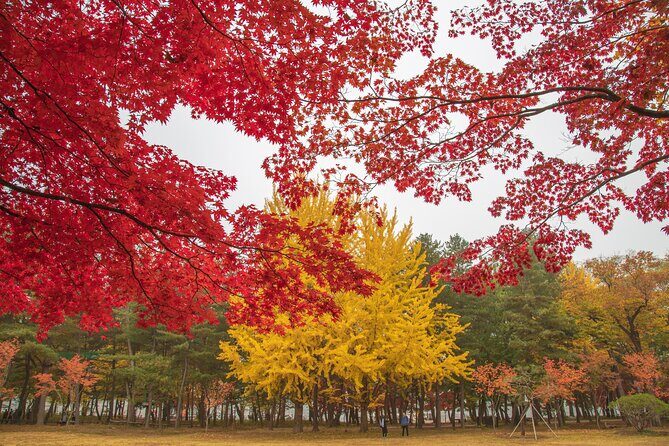 (Private tour) Nami Island + Railbike + Garden of morning calm - Your morning start in Seoul: pickup, timing, and comfort